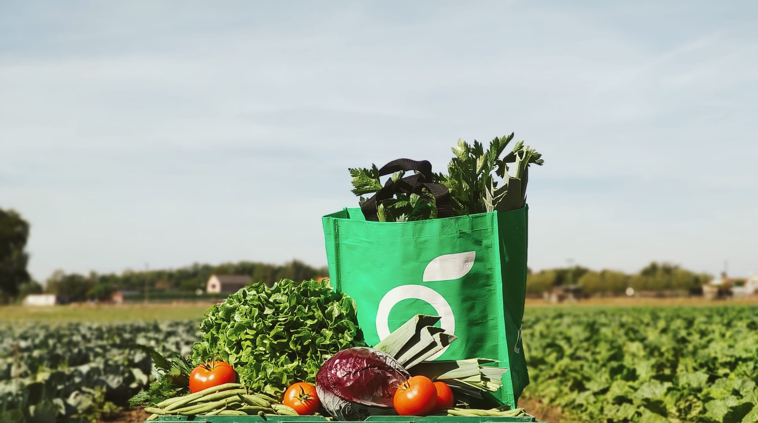 Biohoeve groentepakket op het veld